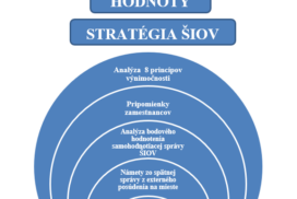 šiov caf strategia