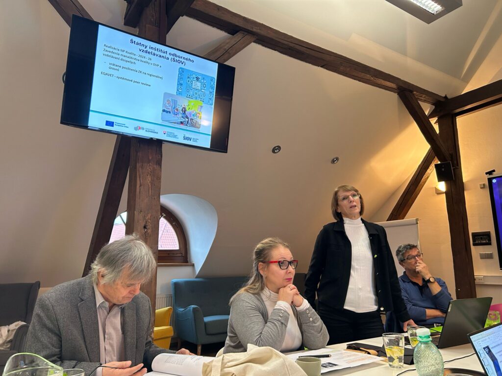 mobilita praha december 2024