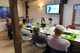 mobilita cesko december 2024